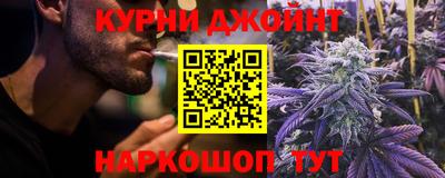 гидра Новодвинск
