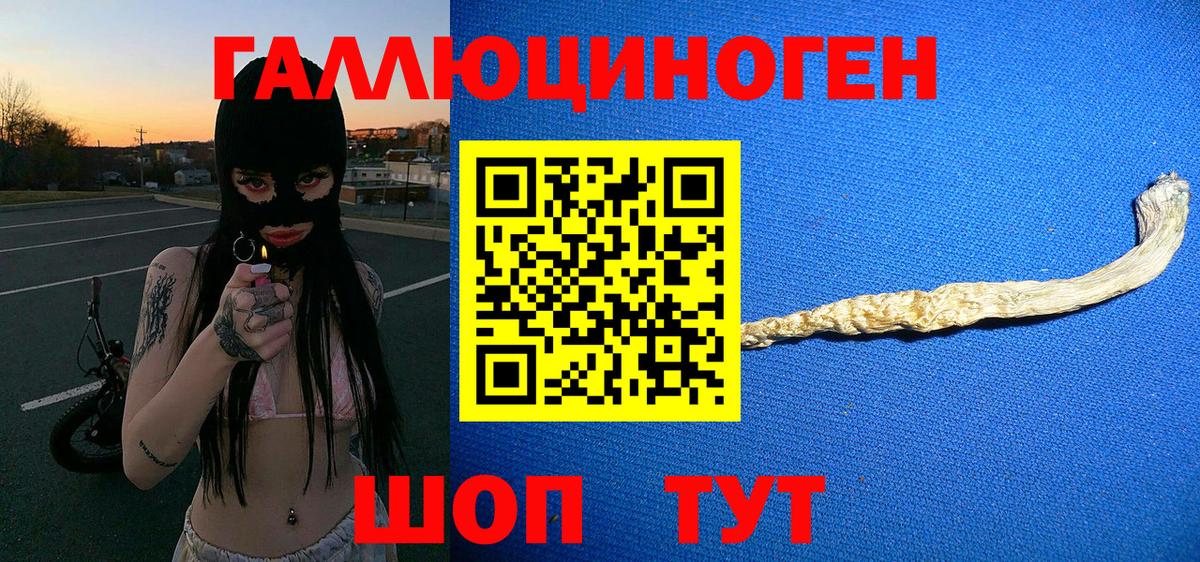 Соль-Илецк  Псилоцибиновые грибы мухоморы  Вход с VPN 